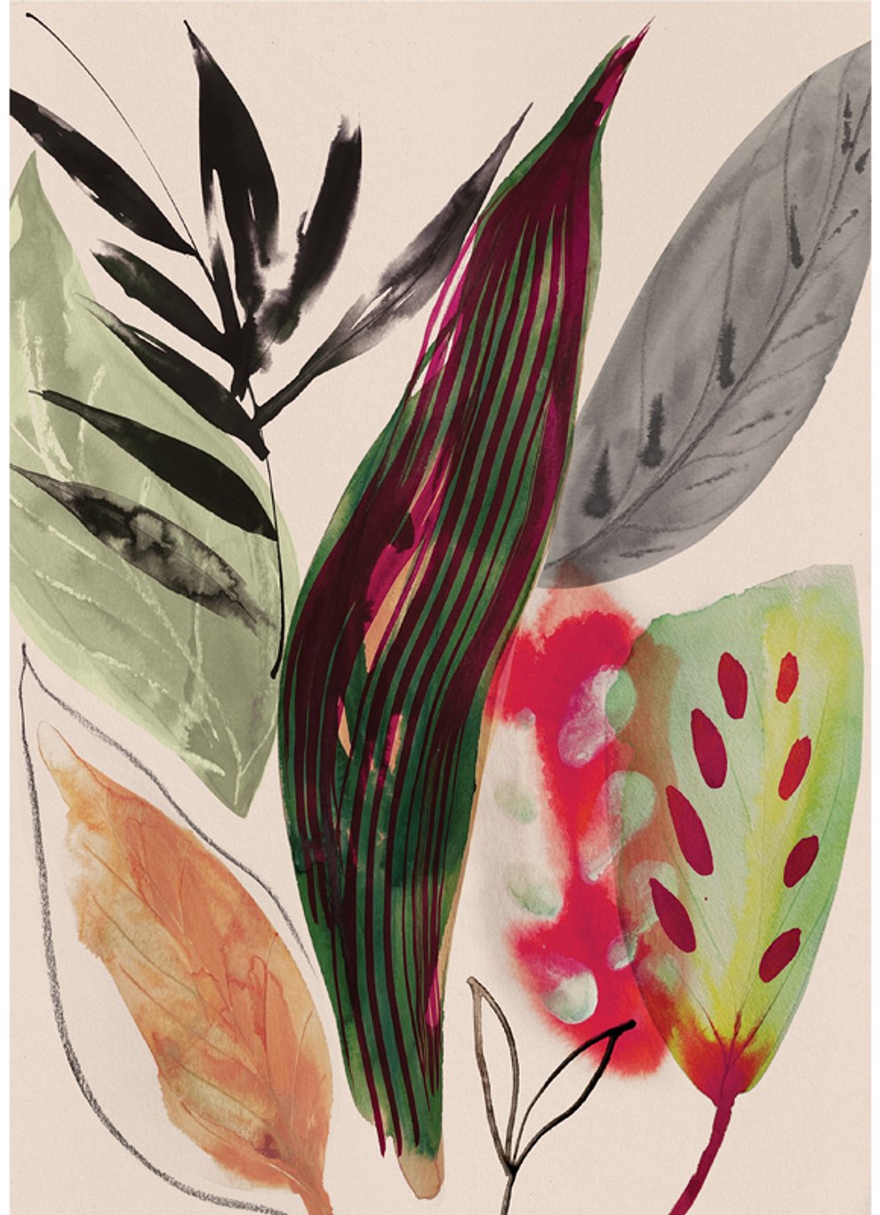 gill-wright-plants-leaves-2-illustration